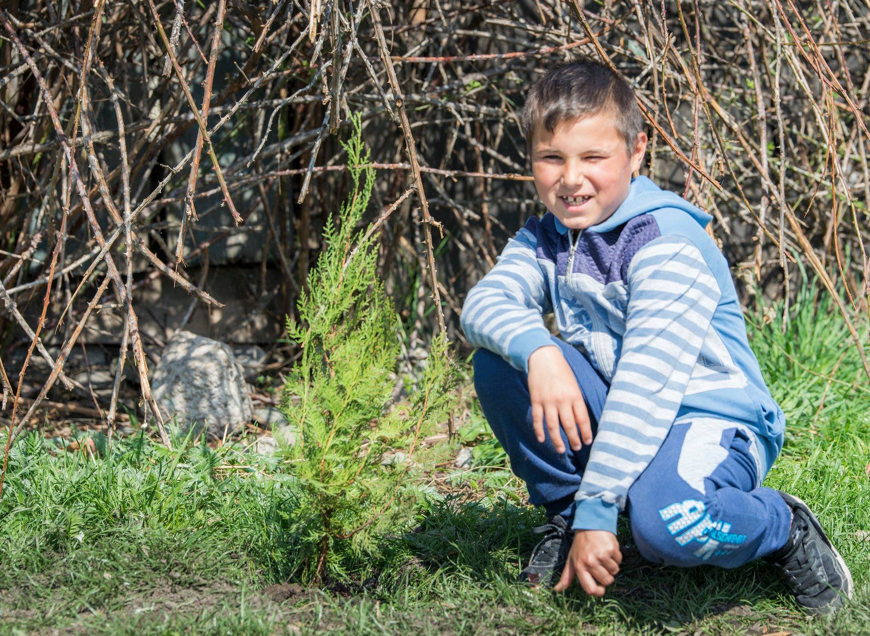 Petroșani Preview 2